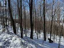 22 WALPOLE STREET W | Huntsville Ontario | Slide Image Three
