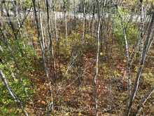 LT 15 PLAN 834 GREY ROAD 1 | Georgian Bluffs Ontario | Slide Image Thirteen