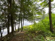 00 JACK'S | Parry Sound Ontario | Slide Image Eleven