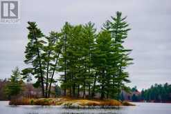00 JACK'S | Parry Sound Ontario | Slide Image Seven