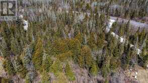 16 GREENOUGH POINT ROAD | Northern Bruce Peninsula Ontario | Slide Image Thirty
