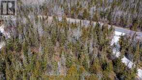 16 GREENOUGH POINT ROAD | Northern Bruce Peninsula Ontario | Slide Image Thirty-one