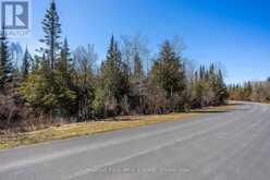 16 GREENOUGH POINT ROAD | Northern Bruce Peninsula Ontario | Slide Image Nine