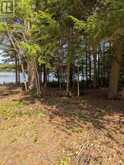 0 WOODS ROAD | Parry Sound Ontario | Slide Image Fifteen