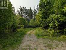 0 WOODS ROAD | Parry Sound Ontario | Slide Image Six