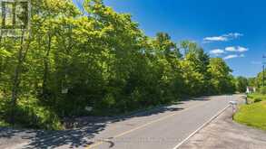 0 HODDY'S SIDE ROAD | McDougall Ontario | Slide Image Nine