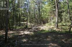 LOT 1 FAIRY FALLS ROAD NW | Baysville Ontario | Slide Image Three