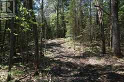 LOT 1 FAIRY FALLS ROAD NW | Baysville Ontario | Slide Image Four
