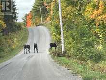 39 WEBER ROAD | Parry Sound Ontario | Slide Image Eight