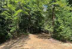 304 OLD NORTH ROAD N | Huntsville Ontario | Slide Image Eighteen