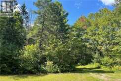 304 OLD NORTH ROAD N | Huntsville Ontario | Slide Image Twenty-seven