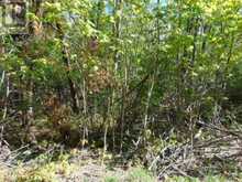 LOT 11 PLAN 580 NORTH DRIVE | Haliburton Ontario | Slide Image Ten