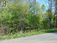 LOT 11 PLAN 580 NORTH DRIVE | Haliburton Ontario | Slide Image Two