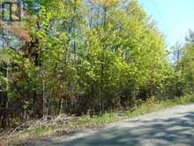 LOT 11 PLAN 580 NORTH DRIVE | Haliburton Ontario | Slide Image One