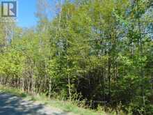 LOT 11 PLAN 580 NORTH DRIVE | Haliburton Ontario | Slide Image Three