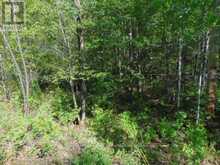 LOT 11 PLAN 580 NORTH DRIVE | Haliburton Ontario | Slide Image Five