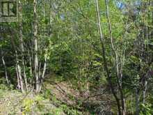 LOT 11 PLAN 580 NORTH DRIVE | Haliburton Ontario | Slide Image Six