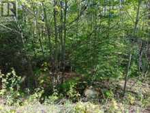 LOT 11 PLAN 580 NORTH DRIVE | Haliburton Ontario | Slide Image Seven