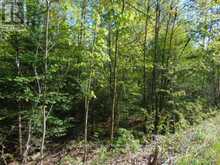 LOT 11 PLAN 580 NORTH DRIVE | Haliburton Ontario | Slide Image Eight