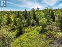 LOT 39 BARTLEY DRIVE | Miller Lake Ontario | Slide Image Ten