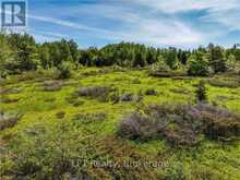 LOT 39 BARTLEY DRIVE | Miller Lake Ontario | Slide Image Thirteen