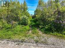 LOT 39 BARTLEY DRIVE | Miller Lake Ontario | Slide Image Seven