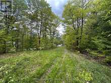 22A LOCK STREET | Rosseau Ontario | Slide Image Ten