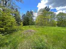 22A LOCK STREET | Rosseau Ontario | Slide Image Two