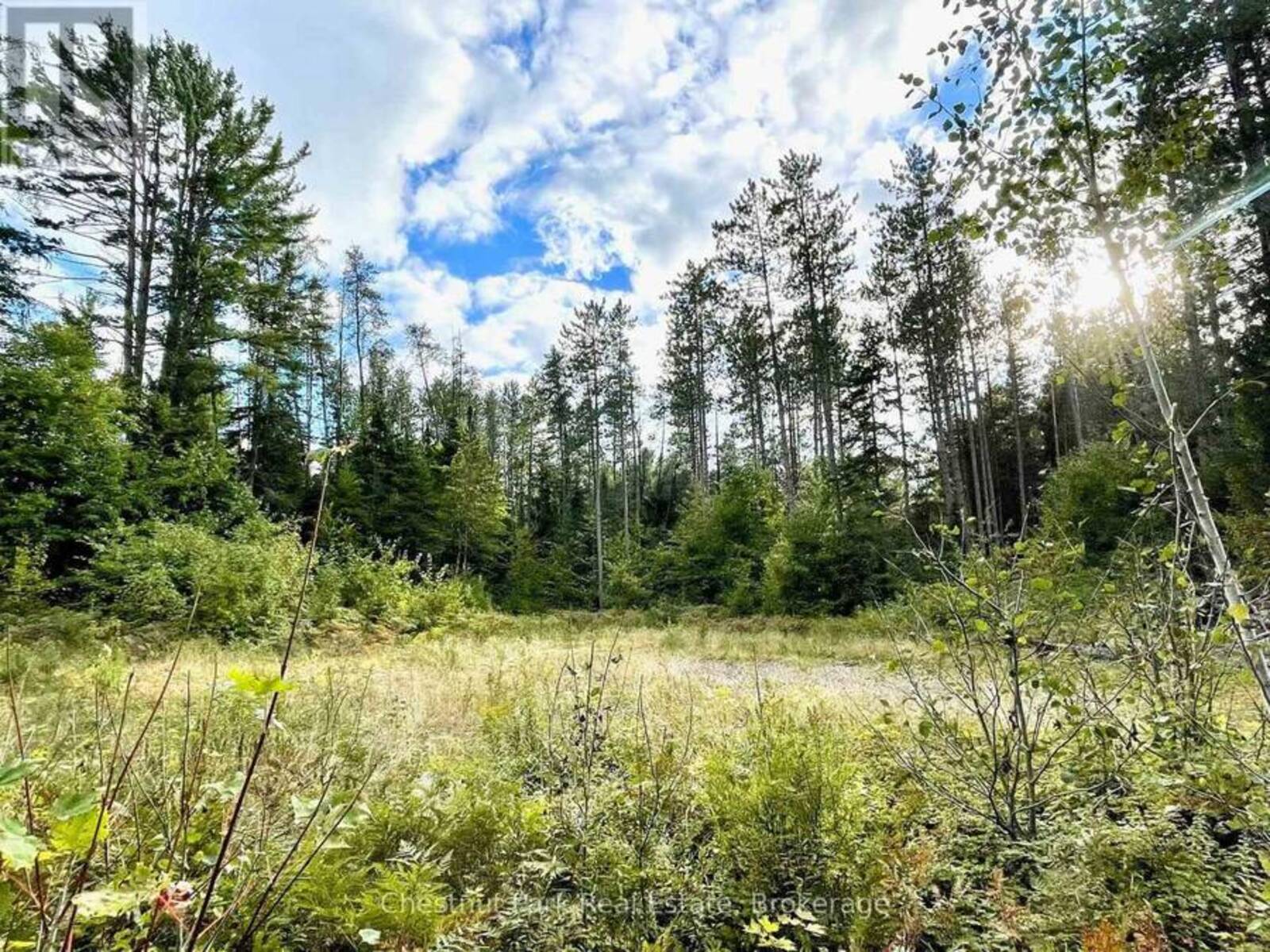 0 CARDWELL LAKE ROAD, Huntsville, Ontario P0B 1M0