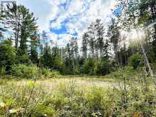0 CARDWELL LAKE ROAD | Huntsville Ontario | Slide Image One