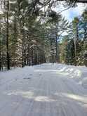0 CARDWELL LAKE ROAD | Huntsville Ontario | Slide Image Four
