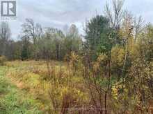 LOT 1 MOORE DRIVE | Whitestone Ontario | Slide Image Fourteen