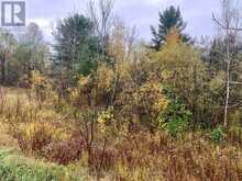 LOT 2 MOORE DRIVE | Whitestone Ontario | Slide Image Fourteen