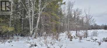 641 LAHEY ROAD | Madoc Ontario | Slide Image Four