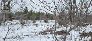 641 LAHEY ROAD | Madoc Ontario | Slide Image Five