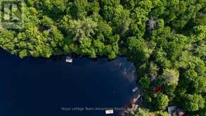 438 SHAWANAGA LAKE | Whitestone Ontario | Slide Image Fifteen