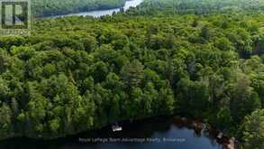 438 SHAWANAGA LAKE | Whitestone Ontario | Slide Image Nine