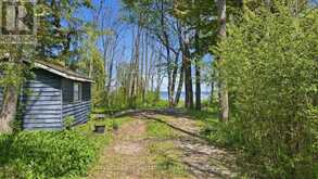 129 SUNSET BOULEVARD | Thornbury Ontario | Slide Image Eleven