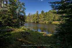 1114 RIVER HAVEN ROAD N | Bracebridge Ontario | Slide Image Fifteen