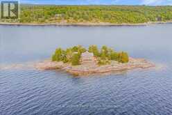 1 THREE TREE ISLAND | Carling Ontario | Slide Image Four