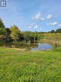 316900 HWY 6 | Chatsworth Ontario | Slide Image Two