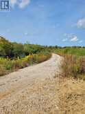 316900 HWY 6 | Chatsworth Ontario | Slide Image Five