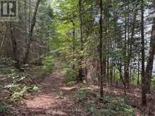 1130 CHETWYND ROAD | Magnetawan Ontario | Slide Image Seventeen