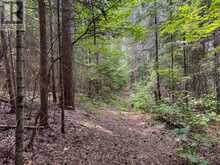 1130 CHETWYND ROAD | Magnetawan Ontario | Slide Image Eighteen