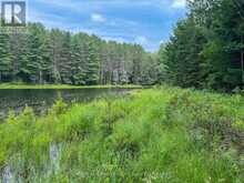 1130 CHETWYND ROAD | Magnetawan Ontario | Slide Image Twenty