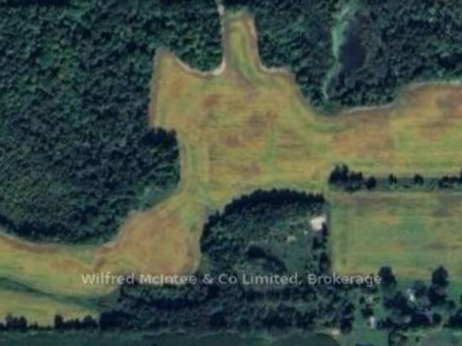 316864 HWY 6, Chatsworth, Ontario N0H 1G0