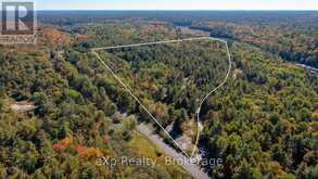 0 SHEBESHEKONG ROAD | Carling Ontario | Slide Image Two