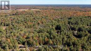 0 SHEBESHEKONG ROAD | Carling Ontario | Slide Image Four