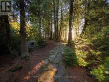 90 GREENOUGH POINT ROAD | Lion's Head Ontario | Slide Image Thirty-six