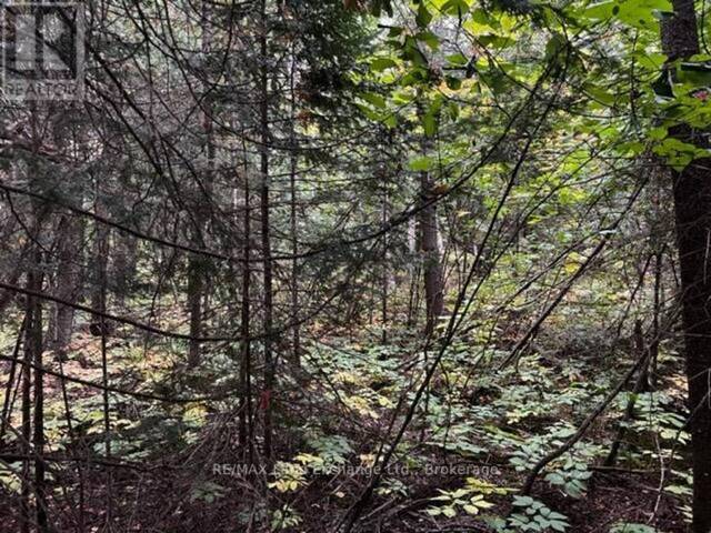 4 SHORE ROAD Southampton Ontario, N0H 2L0 - Vacant Land For Sale